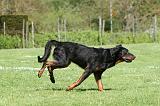 BEAUCERON 840